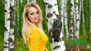 КУ-КУ!КУ-КУ!КУКУЙ КУКУШКА!ДА НЕ ТАКАЯ  Я И СТАРУШКА!