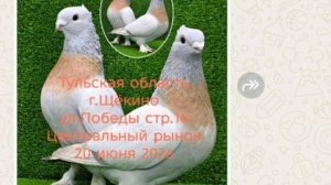 20.06.2026г Состоится Ярмарка г.Щекино Тульской Области!!!ул Победы стр.14
