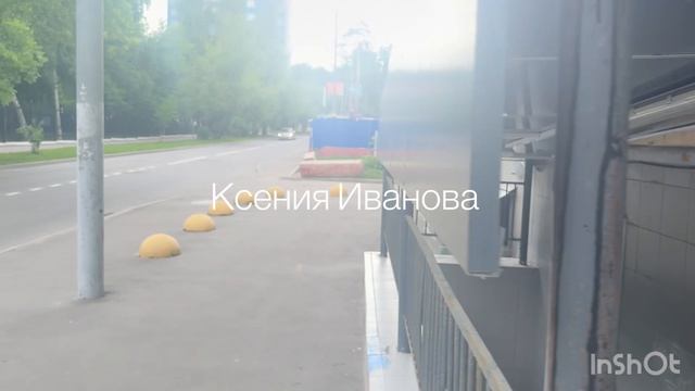 Сосновая аллея 2