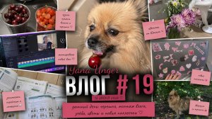 🌸  ВЛОГ 19 | Вишня и черешня, новые наклейки, учёба и цветы от Юлиана 💖