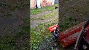 19-06-2026