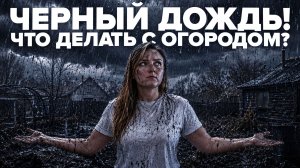 ПРОШЕЛ ДОЖДЬ ИЗ САЖИ. ЧТО ДЕЛАТЬ С ОГОРОДОМ?