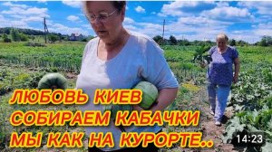 САМВЕЛ АДАМЯН, ЛЮБОВЬ КИЕВ, СОБИРАЕМ КАБАЧКИ, МЫ КАК НА КУРОРТЕ..