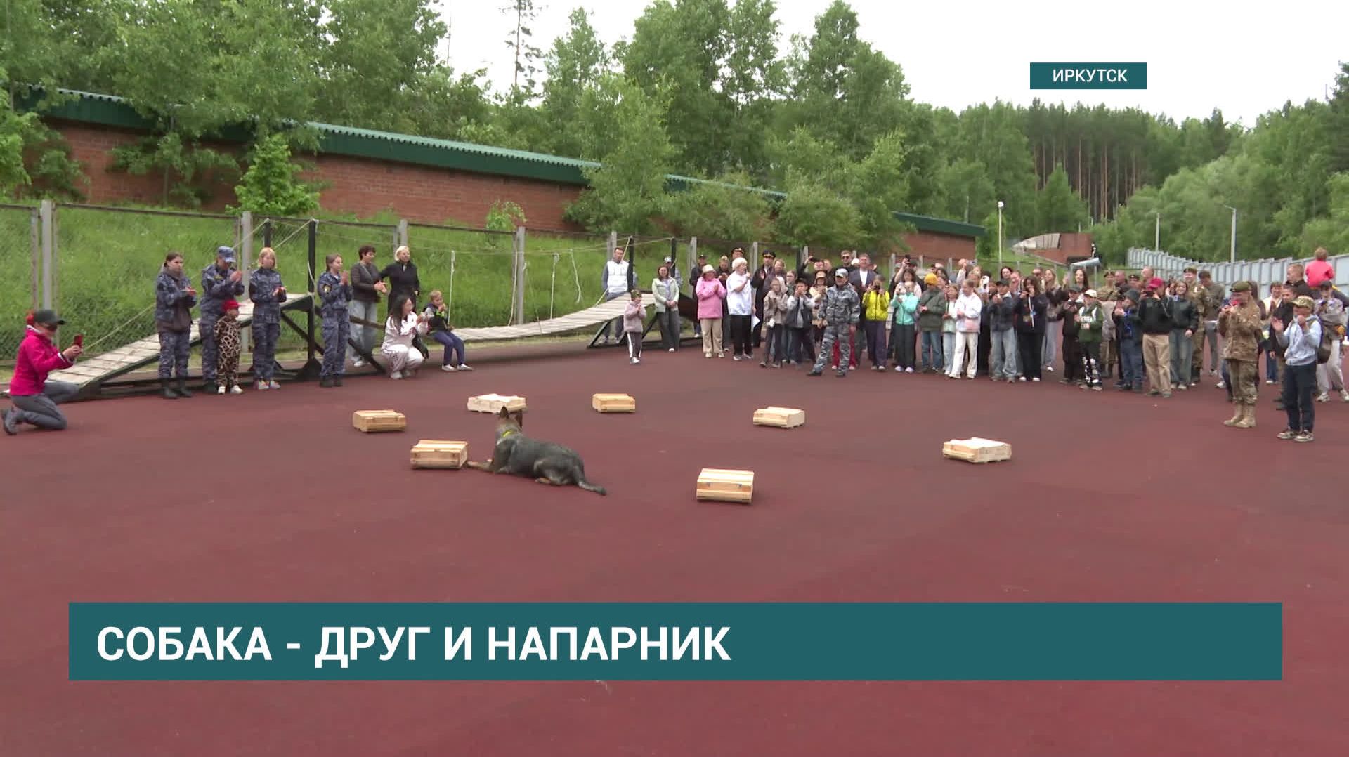 В преддверии Дня кинолога иркутским школьникам показали работу службы дрессировки собак