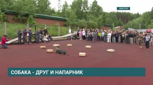 В преддверии Дня кинолога иркутским школьникам показали работу службы дрессировки собак