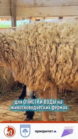 Очистка воды