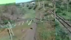 ❗🇷🇺🔥🇺🇦⚡️ Группировка ЦЕНТР наступает в Днепропетровской области и уничтожает ВСУ...
