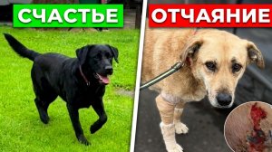Мы были так близки к цели. Швы разошлись... Луну снимаем с рейса в счастливую жизнь.