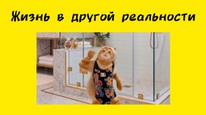 Жизнь в другой реальности