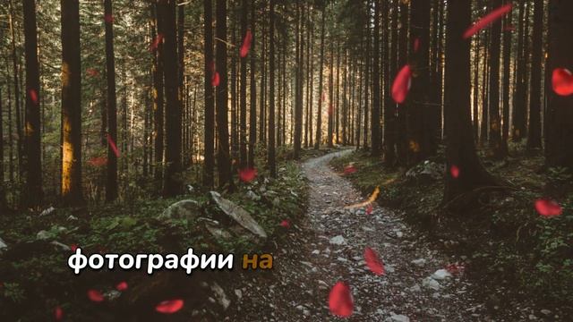 Истории из жизни | Аудио рассказы | Свекор. Двадцать лет молчания. Потом   | Жизненные истории
