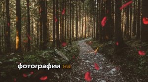 Истории из жизни | Аудио рассказы | Свекор. Двадцать лет молчания. Потом   | Жизненные истории