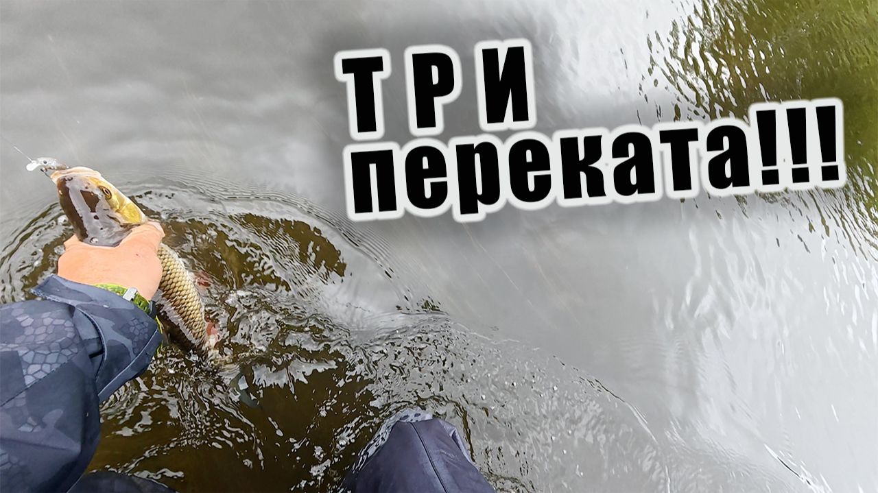БОЛЬШОЙ РЕЙД ПО ДОМАШНЕЙ РЕКЕ!!! ПОИСК ТРОФЕЙНОГО ГОЛАВЛЯ!!! смотреть онлайн