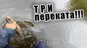 БОЛЬШОЙ РЕЙД ПО ДОМАШНЕЙ РЕКЕ!!! ПОИСК ТРОФЕЙНОГО ГОЛАВЛЯ!!!