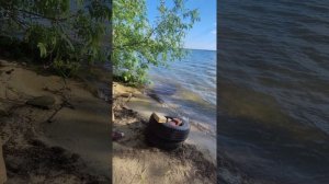 Приключения Димы Бомжа (воссоединение с Балтымом)