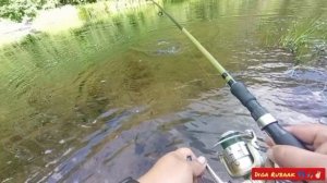 Рыбалка без поводка(щука)🎣
#ТОПчимДальше #Рыбалка #РыбалкавКарелии #Спиннинг #Щука