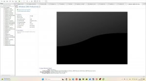 Windows 10  vmware