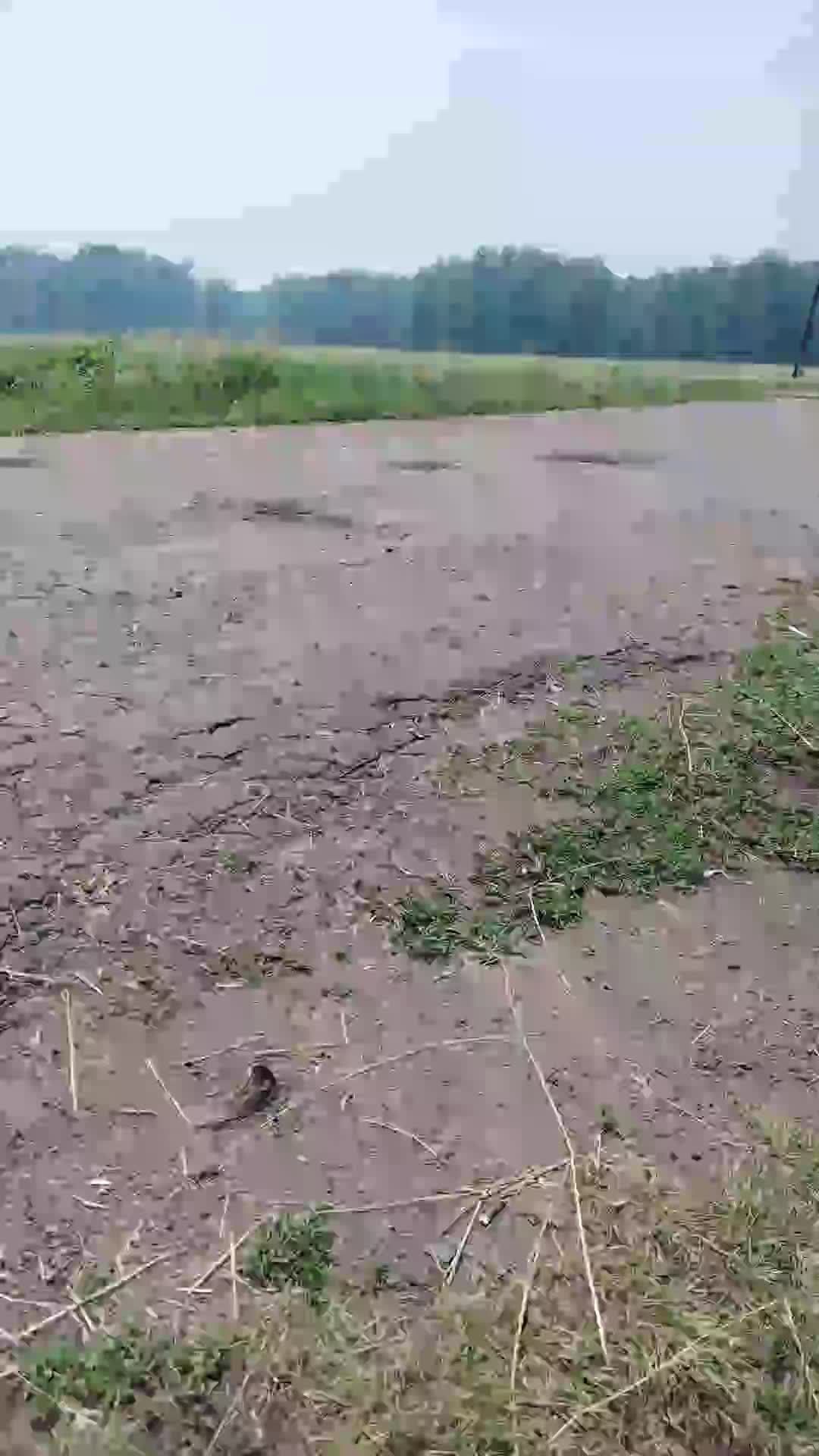 Наша деревня смотреть онлайн