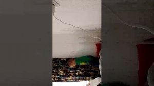 смешные моменты 🤣 первая часть