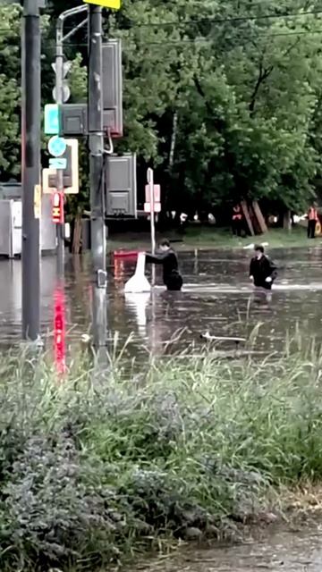 Дорогу затопило после ливня в Москве