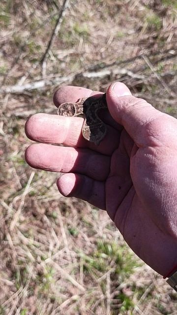 Радость и печаль #shorts #радость #печаль #metaldetecting  #находкисметаллоискателем