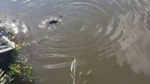1000048172.mp4