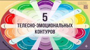 LIVE! ||| Пять телесно-эмоциональных контуров: как читать свою реакцию без мистики