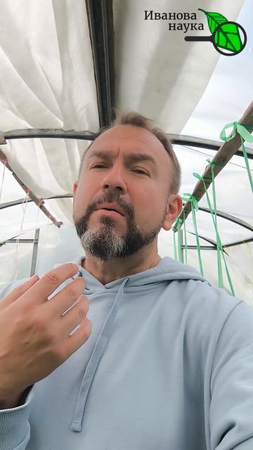 🍅 Как превратить 🔥 ЗОЛУ в золото для вашего сада и огорода? 💰 Полный рецепт в описании к видео 🌿