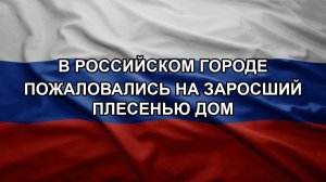 В российском городе пожаловались на заросший плесенью дом
