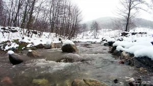 УСПОКАИВАЮЩАЯ МУЗЫКА ДЛЯ СНА И ЖУРЧАНИЕ ВОДЫ 🎵 РЕЛАКС МУЗЫКА ДЛЯ ДУШИ РАННЕЙ ВЕСНОЙ У РУЧЬЯ