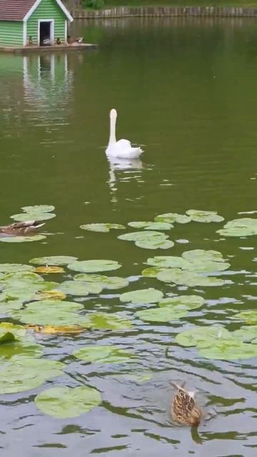 1000013717.mp4 смотреть онлайн