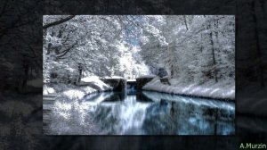 Messiah Project - Inverted Colors
