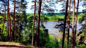 СТАРИЦА (СОЛОТЧА И АГРО-ПУСТЫНЬ)