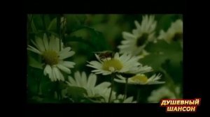 КАТЯ ОГОНËК и МИХАИЛ КРУГ - ДВЕ СУДЬБЫ