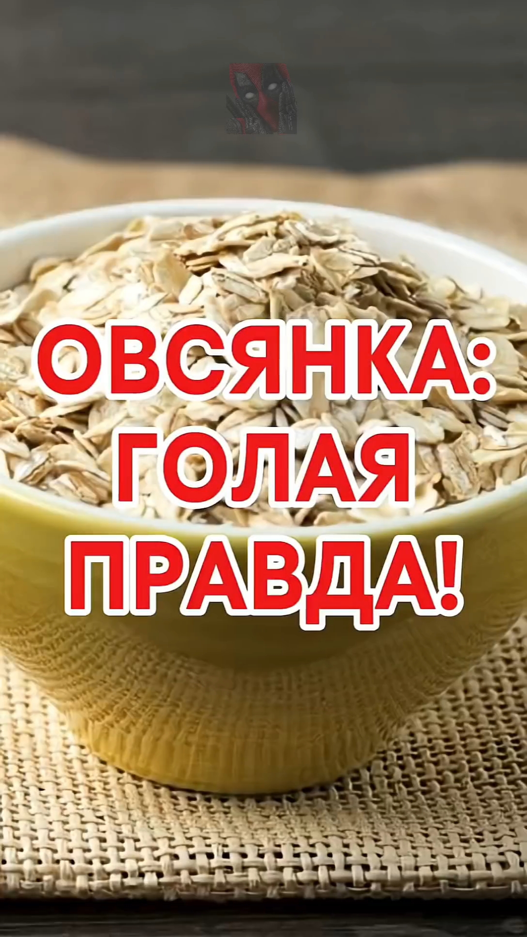 ОВСЯНКА: ГОЛАЯ ПРАВДА!¡! 🙀🫶🤯