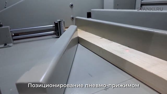 Торцовка на автоматическом торцовочном станке с толкателем EcoWood Cut 250 MAX смотреть онлайн