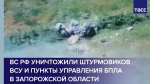 ВС РФ уничтожили штурмовиков ВСУ и пункты управления БПЛА в Запорожской области
