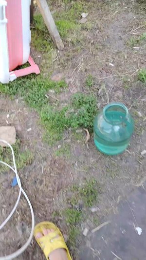 Реб