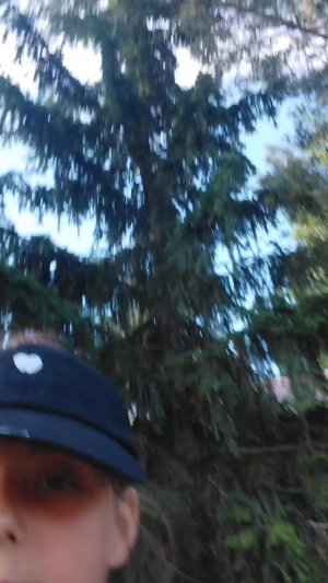 тс.тс