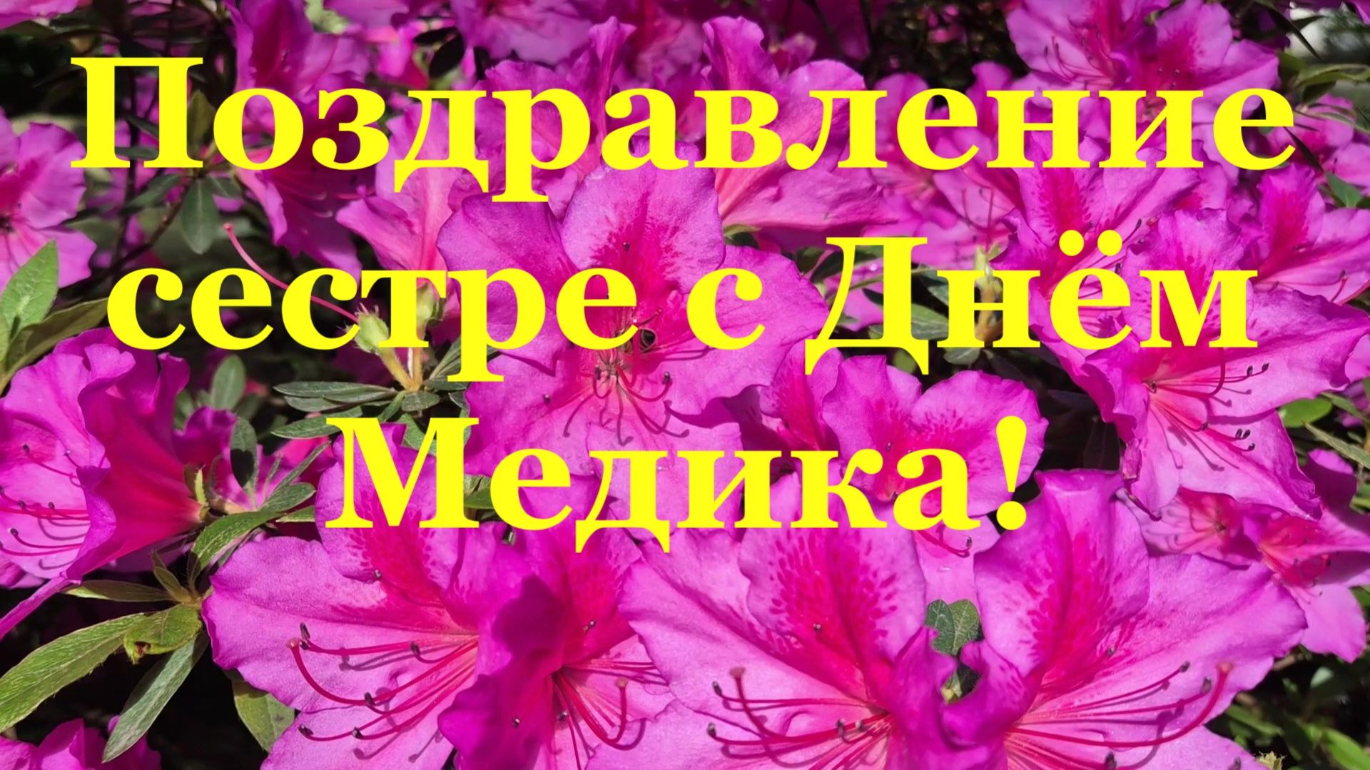 В День медработника с позитивом Милой сестре с Днём Медика!