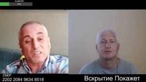 Птинцы одного инкубаторв
