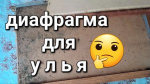 ДИАФРАГМА ДЛЯ УЛЬЯ