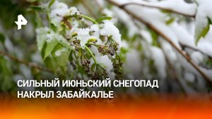 Сильный снегопад накрыл Забайкалье