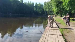 Утренний обзор с нижнего водоёма. Клёвое место, Лосиный остров.