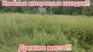 Нашел распаханных домик царских времён!!!Находки с этого места сводят с ума!!!