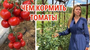 ВАЖНЫЕ ПОДКОРМКИ ДЛЯ ТОМАТОВ. Почему плоды не завязываются?