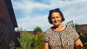 Поделила гейхеры двумя способами 20 июня2026 г.