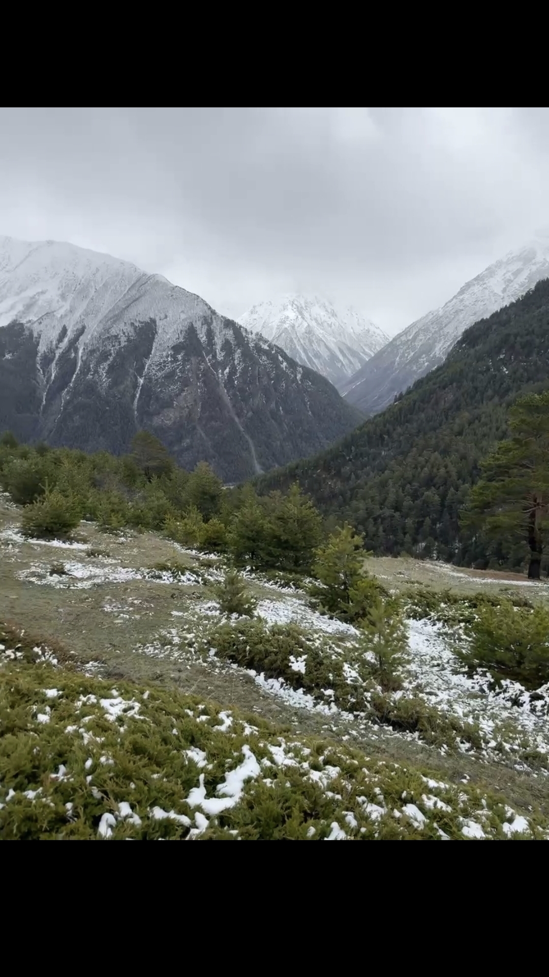 Горы шепчут, лес поёт — я иду, душой отдыхая🏞Тропа между небом и землёй: горы и лес встречают меня