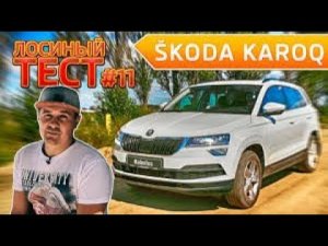 Skoda Karoq  ТЕСТ ДРАЙВ ШКОДА КАРОК ОБЗОР Skoda Karoq