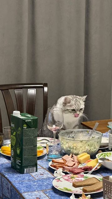 Котэ смотреть онлайн