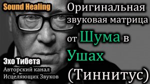🎧 Матрица  против шума в ушах | Слушать 5 минут в день 👂🔊